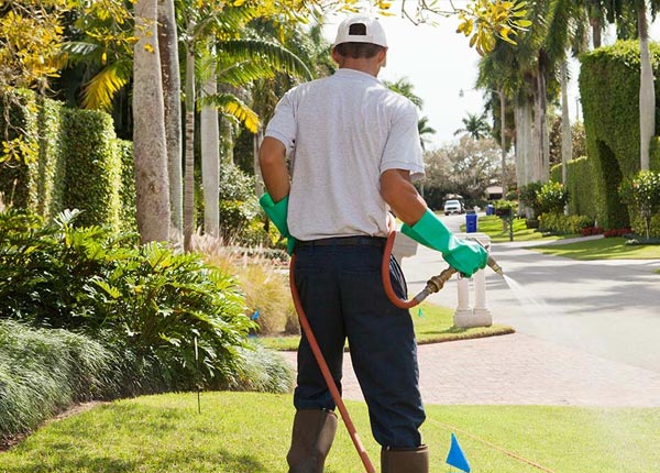 About Chapel Hill NC Pest Control Pros